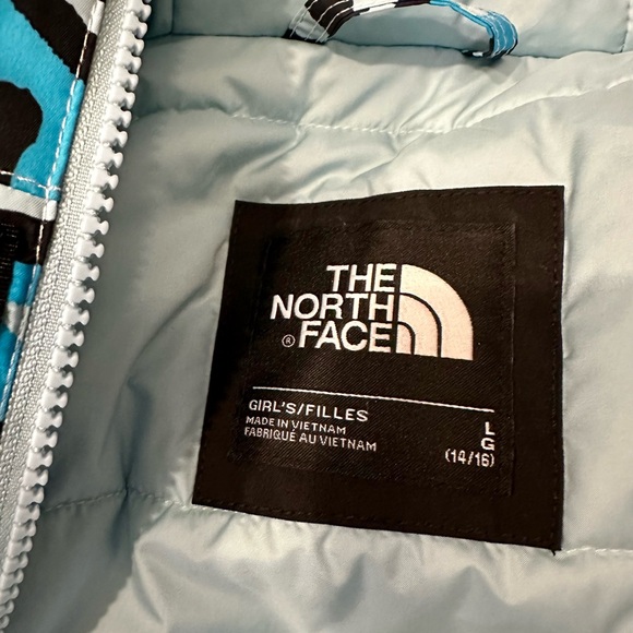 The North Face Insulated Hooded Ski/Snowboarding Jacket - Size Large Gir… - Picture 10 of 11